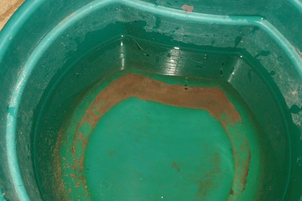 Florida woman accused of dousing neighbor with feces over suspected affair