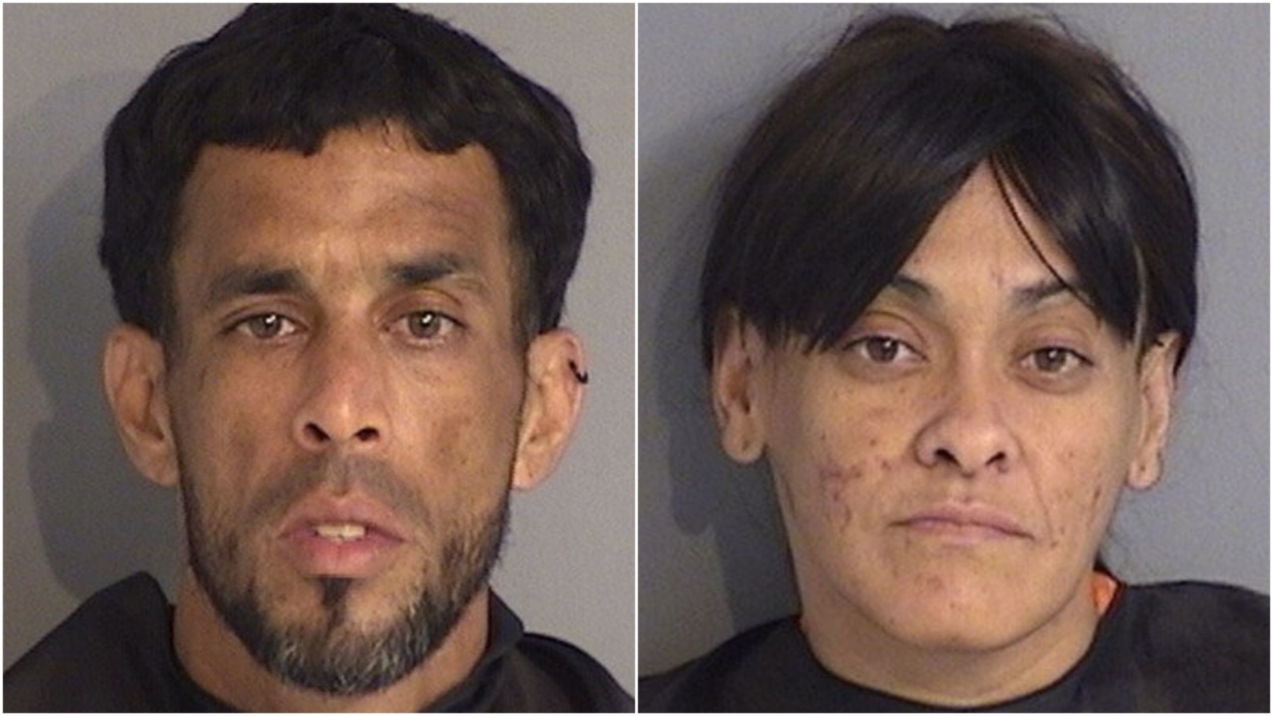 Couple arrested after alleged assault and robbery at Osceola County motel